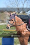 ref. photo 3553618