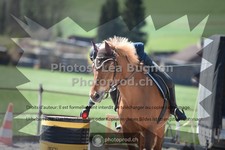 ref. photo 3553624