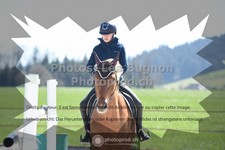 ref. photo 3553625
