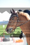 ref. photo 3553628