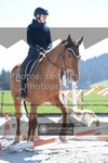 ref. photo 3553631
