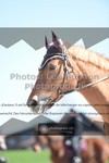 ref. photo 3553633