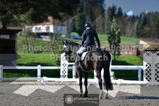 ref. photo 3553641