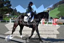 ref. photo 3553646