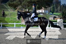 ref. photo 3553657