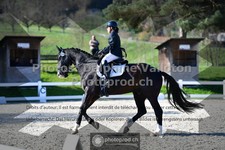 ref. photo 3553662