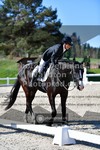 ref. photo 3553690