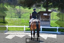 ref. photo 3553694