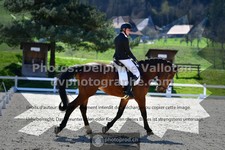 ref. photo 3553700
