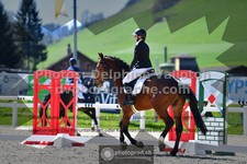 ref. photo 3553705