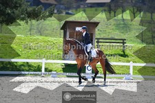 ref. photo 3553710