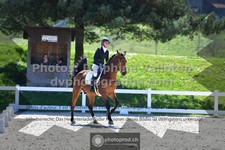 ref. photo 3553719