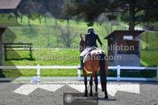 ref. photo 3553729