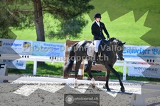 ref. photo 3553742