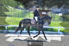 ref. photo 3553747