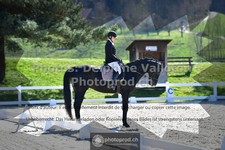 ref. photo 3553755