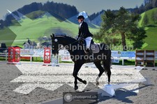 ref. photo 3553768