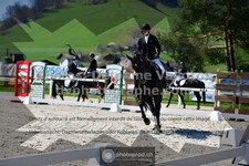 ref. photo 3553784