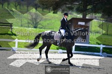 ref. photo 3553790