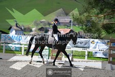 ref. photo 3553792