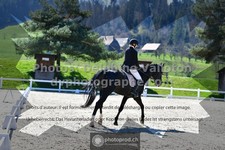 ref. photo 3553794