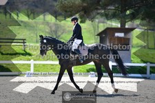 ref. photo 3553802