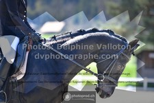 ref. photo 3553806
