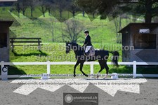 ref. photo 3553807