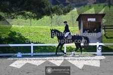 ref. photo 3553808