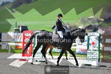 ref. photo 3553814