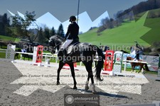 ref. photo 3553821