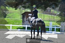 ref. photo 3553822
