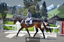 ref. photo 3553832