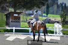 ref. photo 3553834