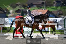 ref. photo 3553839