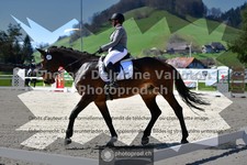 ref. photo 3553841