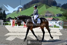ref. photo 3553843