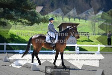 ref. photo 3553844