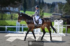 ref. photo 3553847