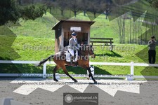 ref. photo 3553848