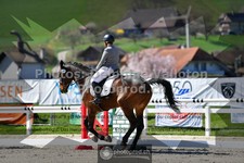 ref. photo 3553851