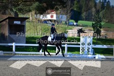 ref. photo 3553883