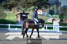 ref. photo 3553900
