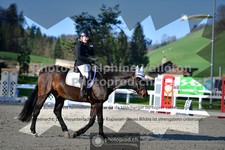 ref. photo 3553910