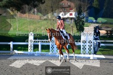 ref. photo 3553919