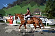 ref. photo 3553923