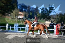 ref. photo 3553933