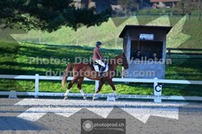 ref. photo 3553934