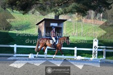 ref. photo 3553944