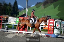 ref. photo 3553954